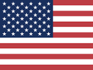 Flag of USA / Canada